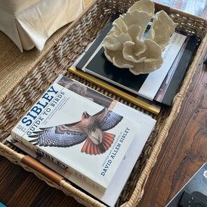The Sibley Guide to Birds used- excellent condition